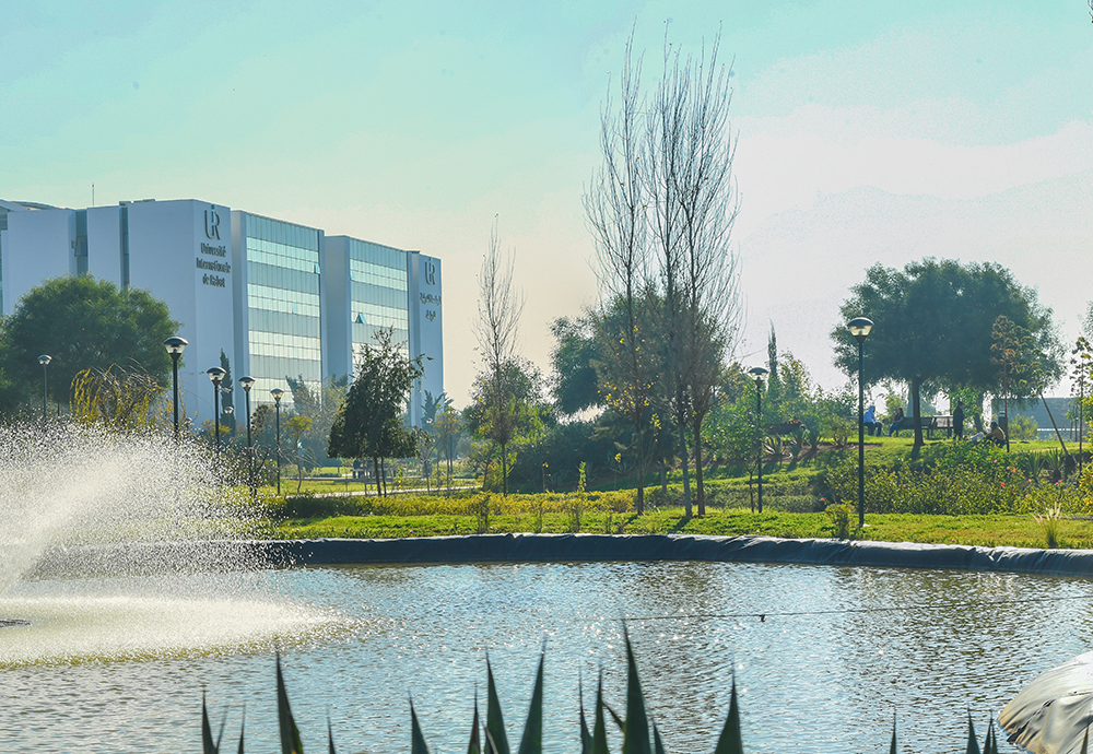 gallery_0001_TAW_8342-Panorama